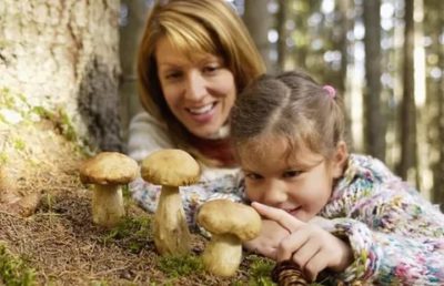 Можно ли детям давать грибы