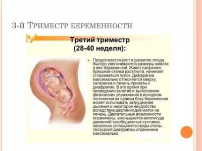 Что такое третий триместр беременности