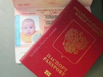 Можно ли вписать ребенка в биометрический паспорт