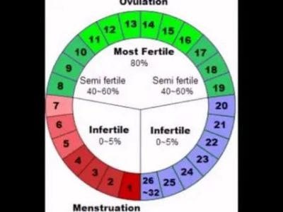 Что значит фертильный день цикла
