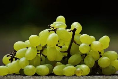 Можно ли детям виноград