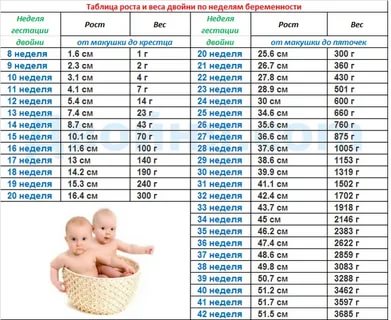 Сколько должен весить ребенок в 28 недель беременности
