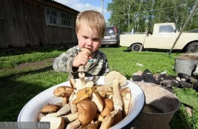 Можно ли детям давать грибы