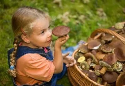 Когда можно вводить грибы ребенку