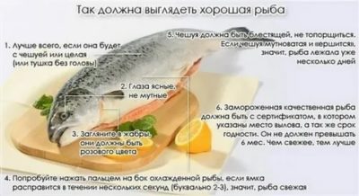 Какую рыбу можно есть во время беременности