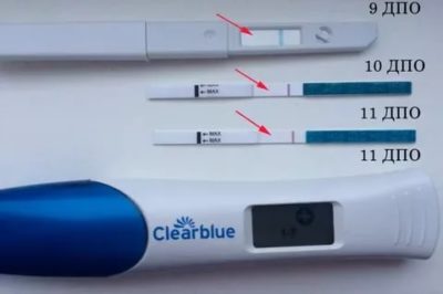 Какой тест может показать беременность до задержки